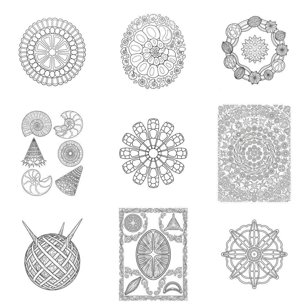 Microscope Mandalas radiolaria coloring page example