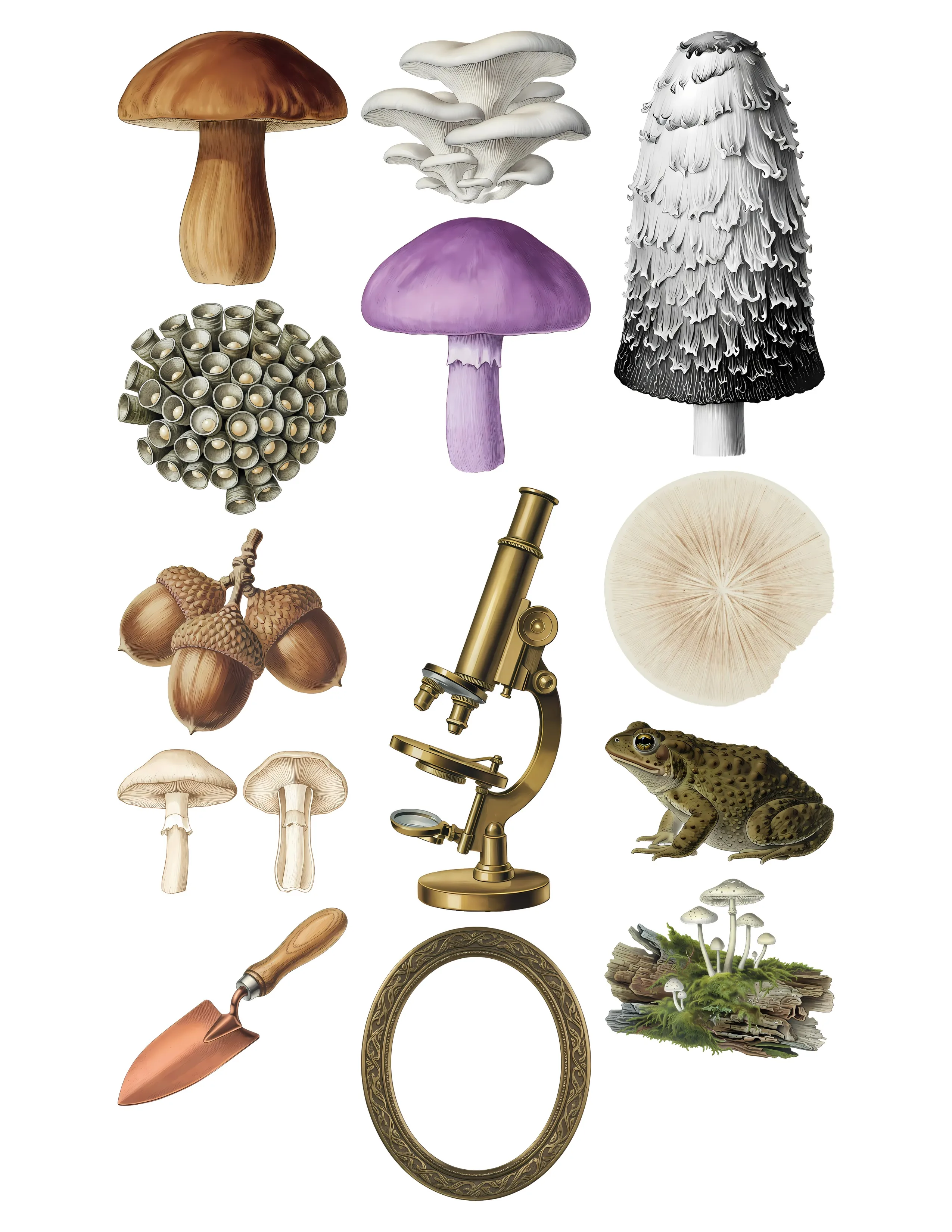 Vintage Mushroom Ephemera Kit printable sheet preview 2